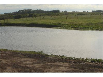 chacra a 10 km de jose ignacio 5 has - acp2996h