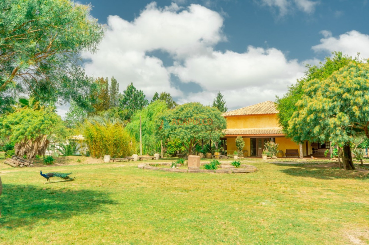 Chacra ID.6456 - VENDE CHACRA EN JOSE IGNACIO