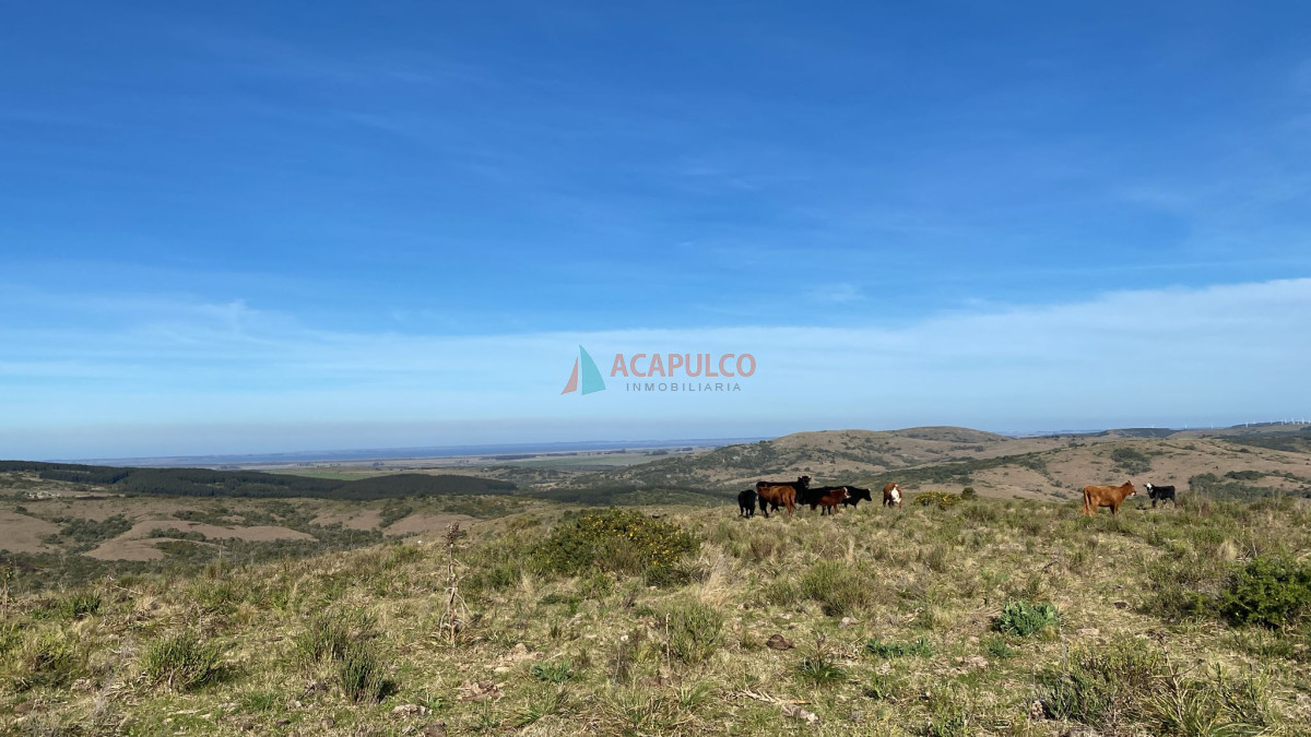 Chacra campo de 5 hectáreas en venta - Rocha - ACP6166H