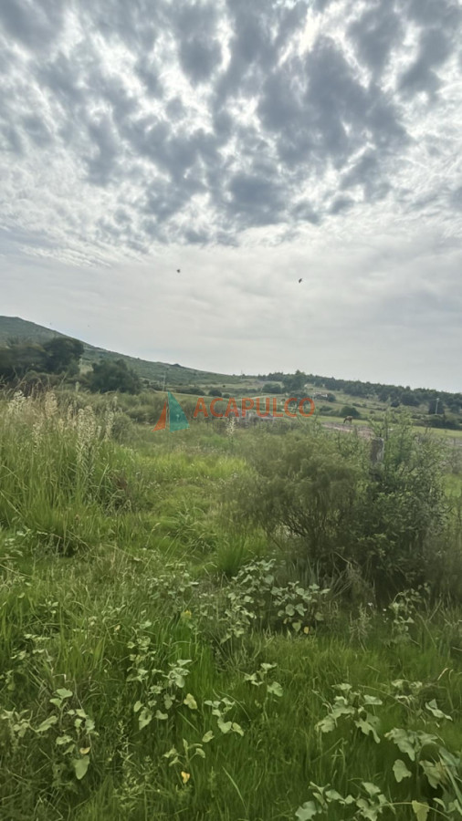 Chacra Ref.6298 - CHACRA EN PAN DE AZUCAR