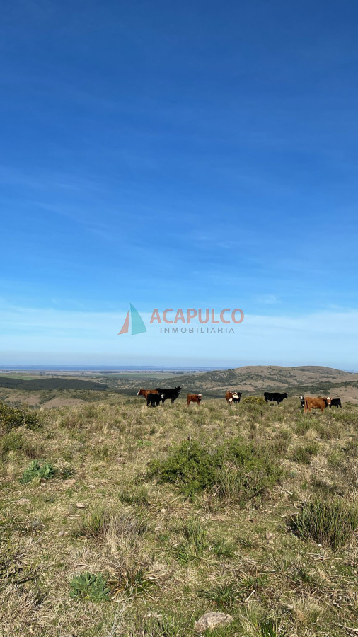 Chacra Ref.6166 - Chacras de 5 hectáreas en venta - Rocha