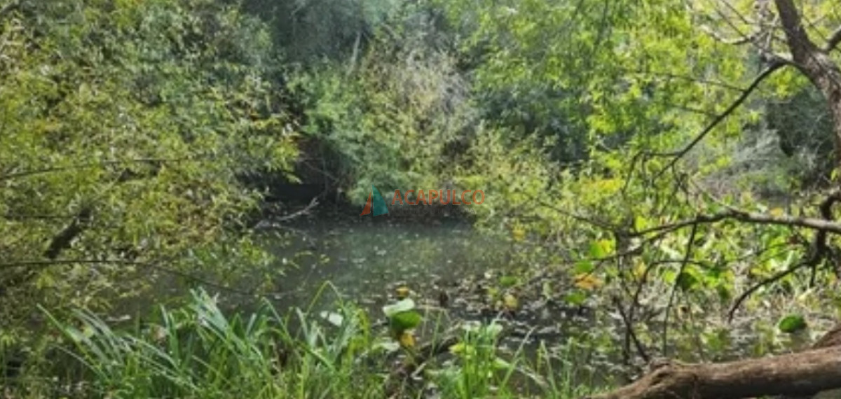 Chacra Ref.4502 - CHACRAS A LA VENTA A 2 KM. DE PUEBLO EDEN