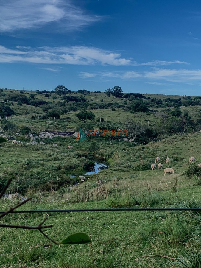 Chacra Ref.4566 - Chacra en venta -7 Hás con casa principal y galpón