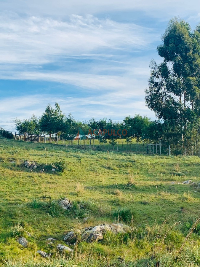 Chacra Ref.4566 - Chacra en venta -7 Hás con casa principal y galpón