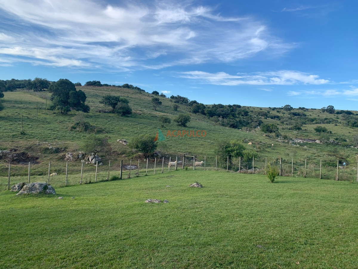Chacra Ref.4566 - Chacra en venta -7 Hás con casa principal y galpón