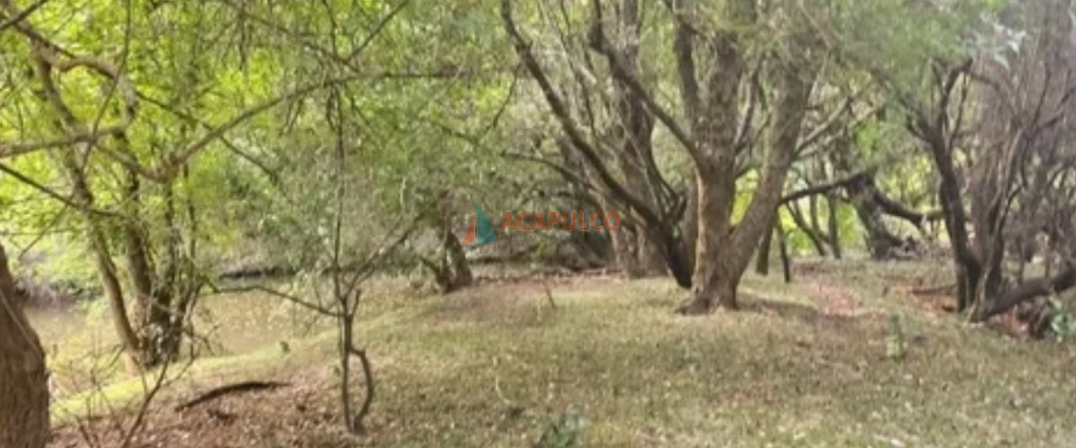Chacra Ref.4501 - VENTA CHACRA 5 KM. DE PUEBLO EDEN