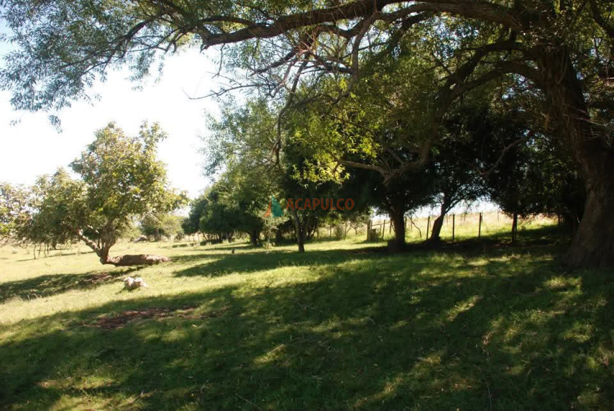 Chacra ID.6339 - CHACRA EN VENTA CON CASA 