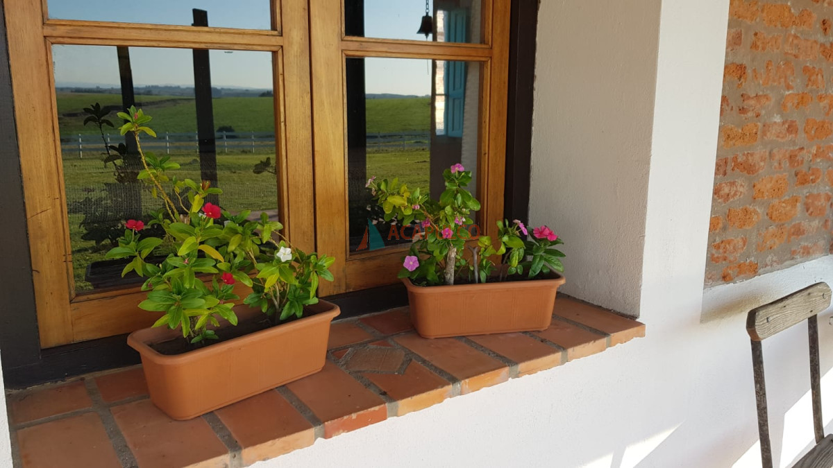 Chacra ID.4219 - Alquiler de Hermosa Chacra en José Ignacio - 7 Dormitorios  - Piscina- Campo - cabalgatas