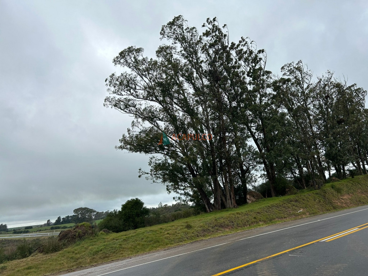 Chacra Ref.5961 - Venta terreno en intersección Ruta 1 y Ruta 54 
