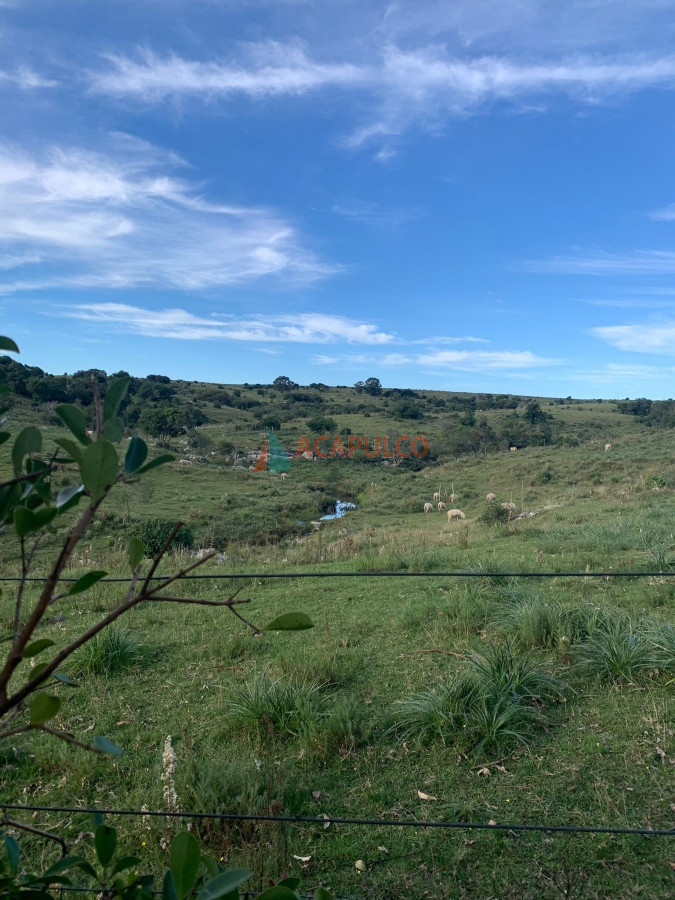 Chacra Ref.4566 - Chacra en venta -7 Hás con casa principal y galpón
