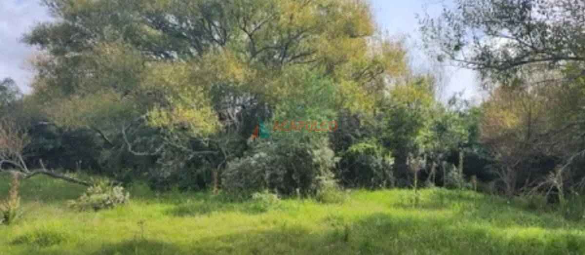 Chacra Ref.4502 - CHACRAS A LA VENTA A 2 KM. DE PUEBLO EDEN