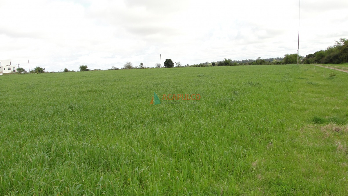 Chacra Ref.5895 - Venta Chacra en San Pedro próximo a Colonia del Sacramento