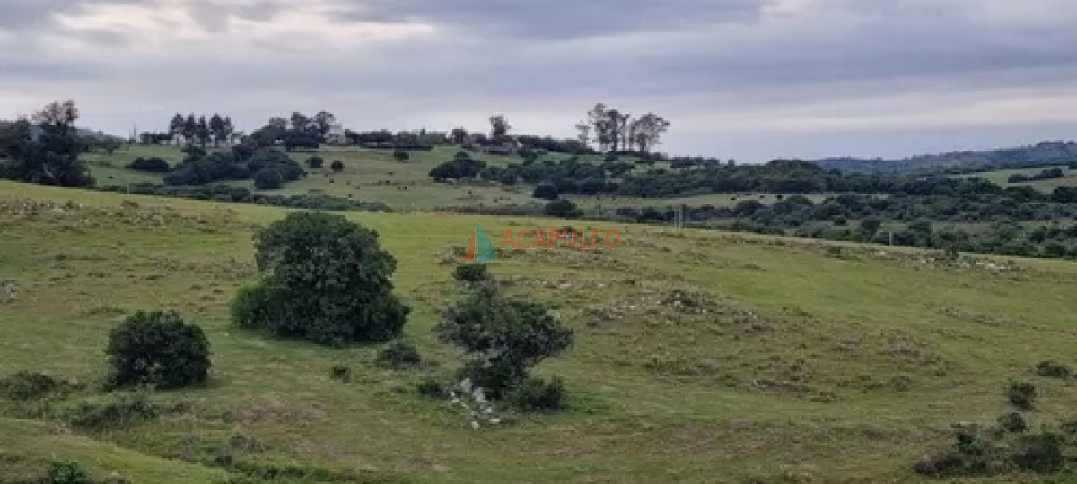 Chacra Ref.4501 - VENTA CHACRA 5 KM. DE PUEBLO EDEN
