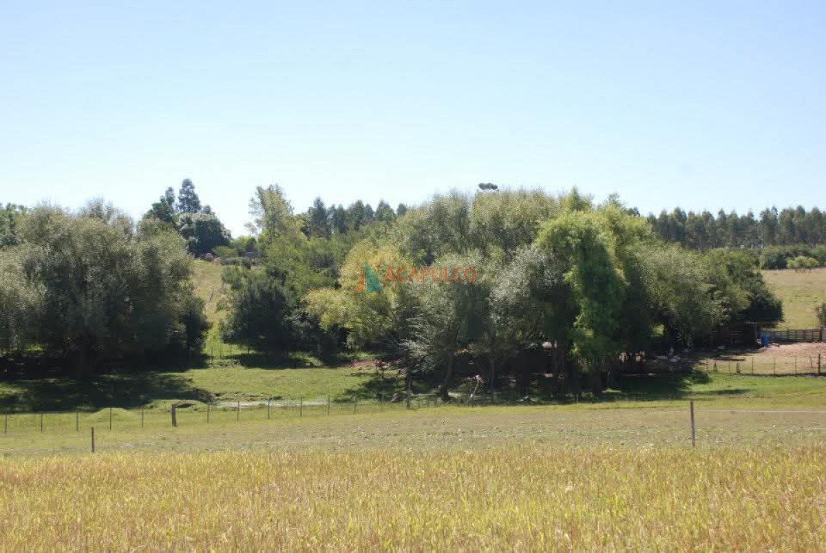 Chacra ID.6339 - CHACRA EN VENTA CON CASA 