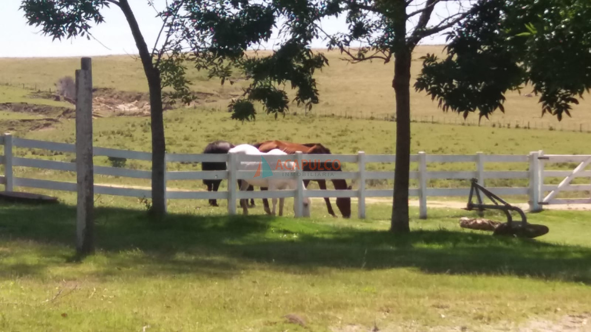 Chacra ID.4219 - Alquiler de Hermosa Chacra en José Ignacio - 7 Dormitorios  - Piscina- Campo - cabalgatas
