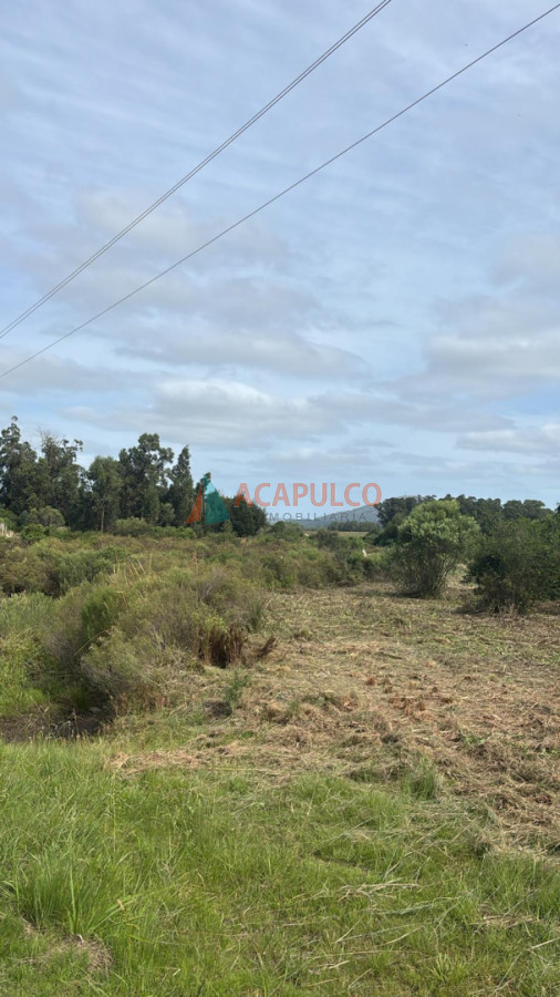 Chacra Ref.6298 - CHACRA EN PAN DE AZUCAR