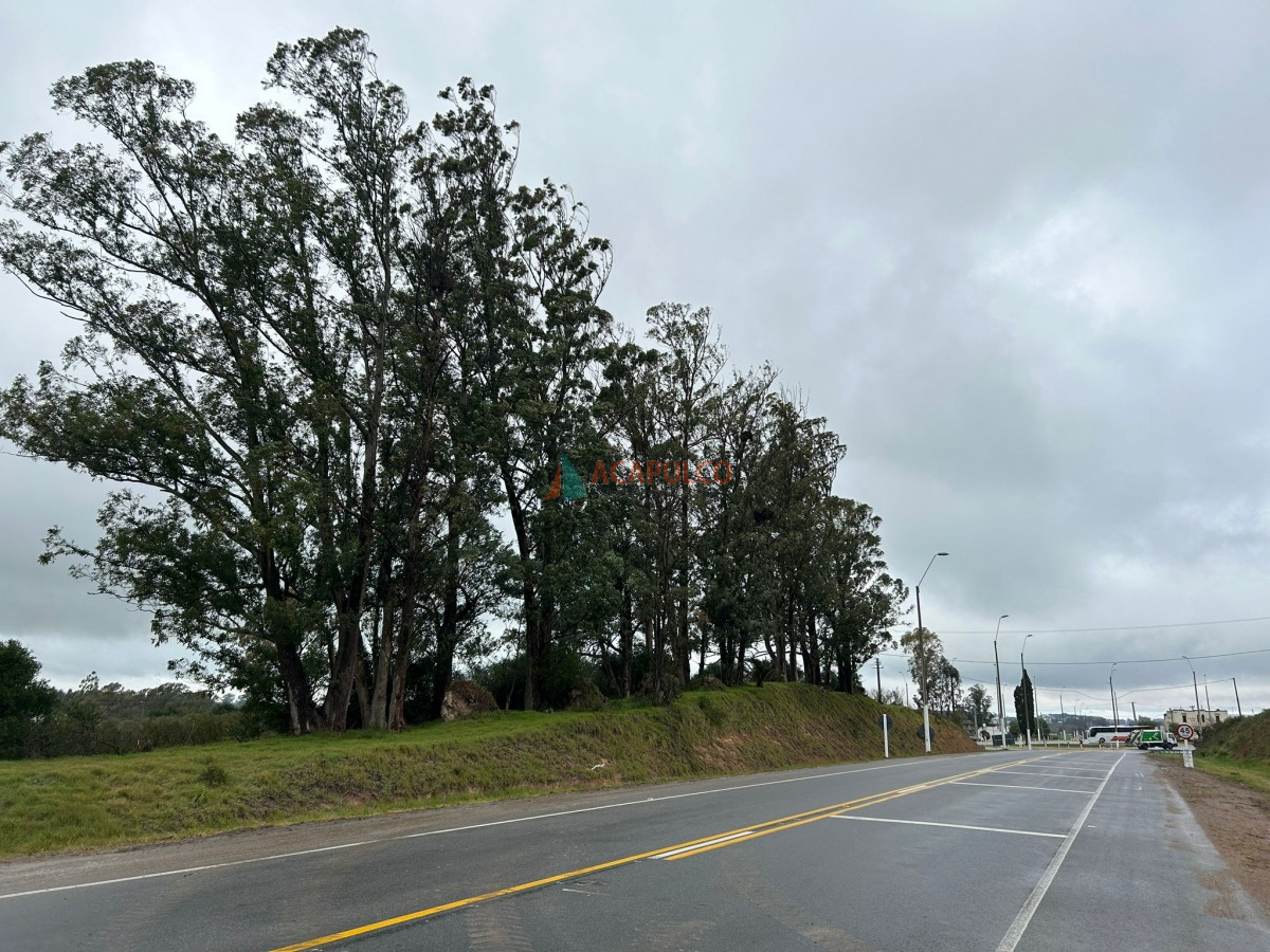 Chacra Ref.5961 - Venta terreno en intersección Ruta 1 y Ruta 54 