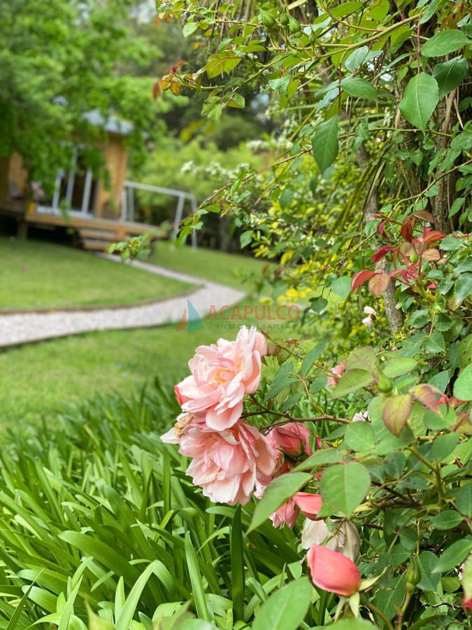 Chacra ID.6147 - CHACRA EN ALQUILER TEMPORARIO