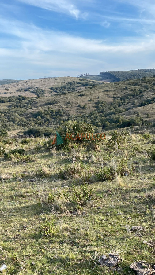 Chacra Ref.6166 - Chacras de 5 hectáreas en venta - Rocha