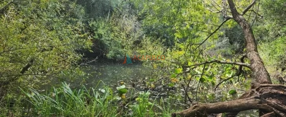 Chacra Ref.4502 - CHACRAS A LA VENTA A 2 KM. DE PUEBLO EDEN