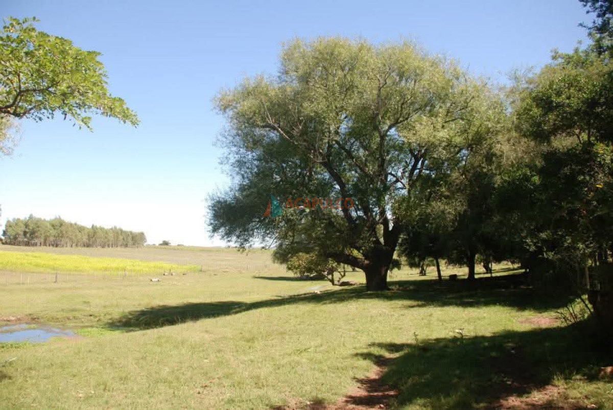 Chacra ID.6339 - CHACRA EN VENTA CON CASA 