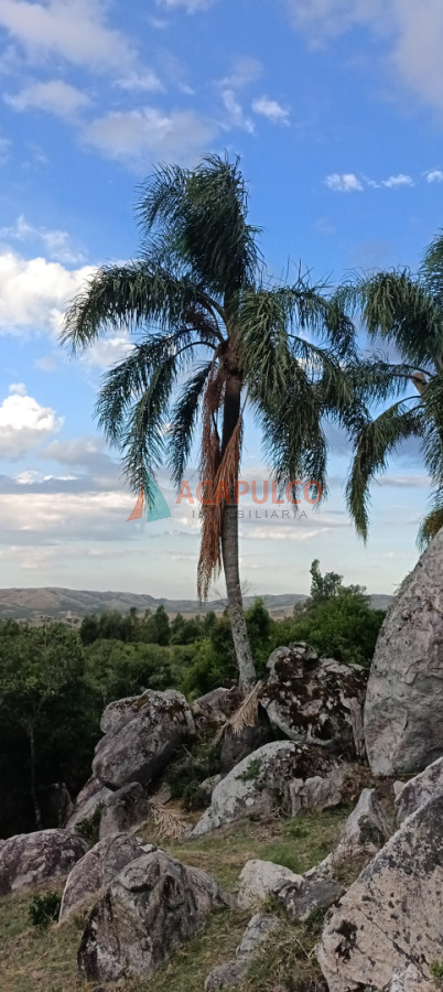 Chacra ID.6417 - ALQUILER TEMPORAL CHACRA PARA GRANDES GRUPOS