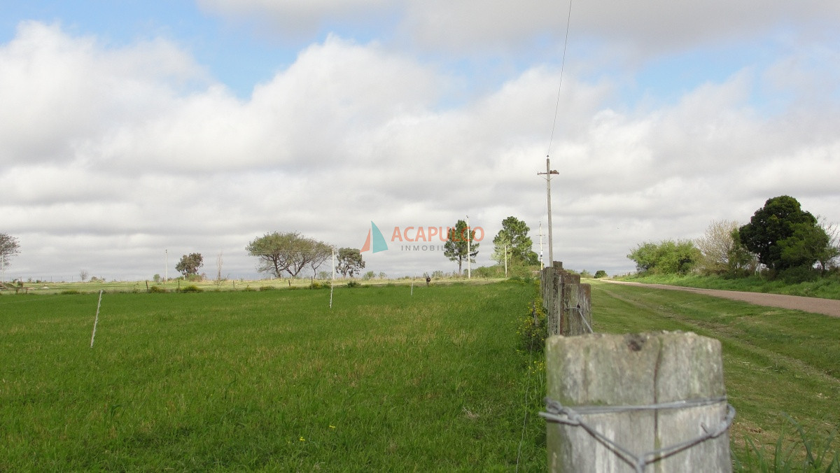 Chacra Ref.5895 - Venta Chacra en San Pedro próximo a Colonia del Sacramento