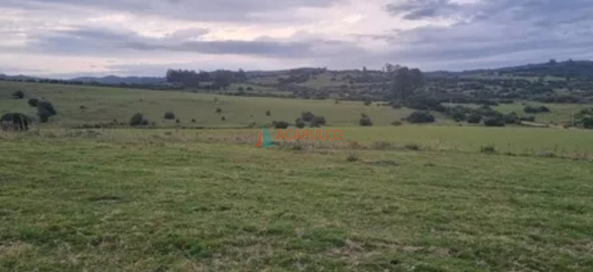 Chacra Ref.4503 - CHACRA A LA VENTA 7.5 Hás  Pueblo Eden