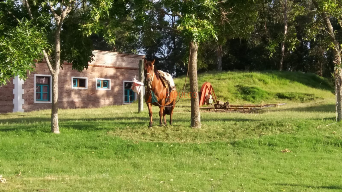 Chacra ID.4219 - Alquiler de Hermosa Chacra en José Ignacio - 7 Dormitorios  - Piscina- Campo - cabalgatas