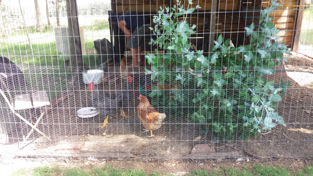 Chacra ID.4219 - Alquiler de Hermosa Chacra en José Ignacio - 7 Dormitorios  - Piscina- Campo - cabalgatas