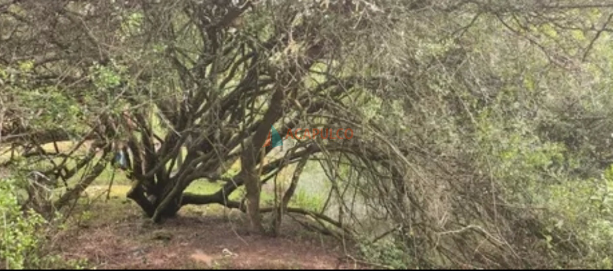 Chacra Ref.4501 - VENTA CHACRA 5 KM. DE PUEBLO EDEN