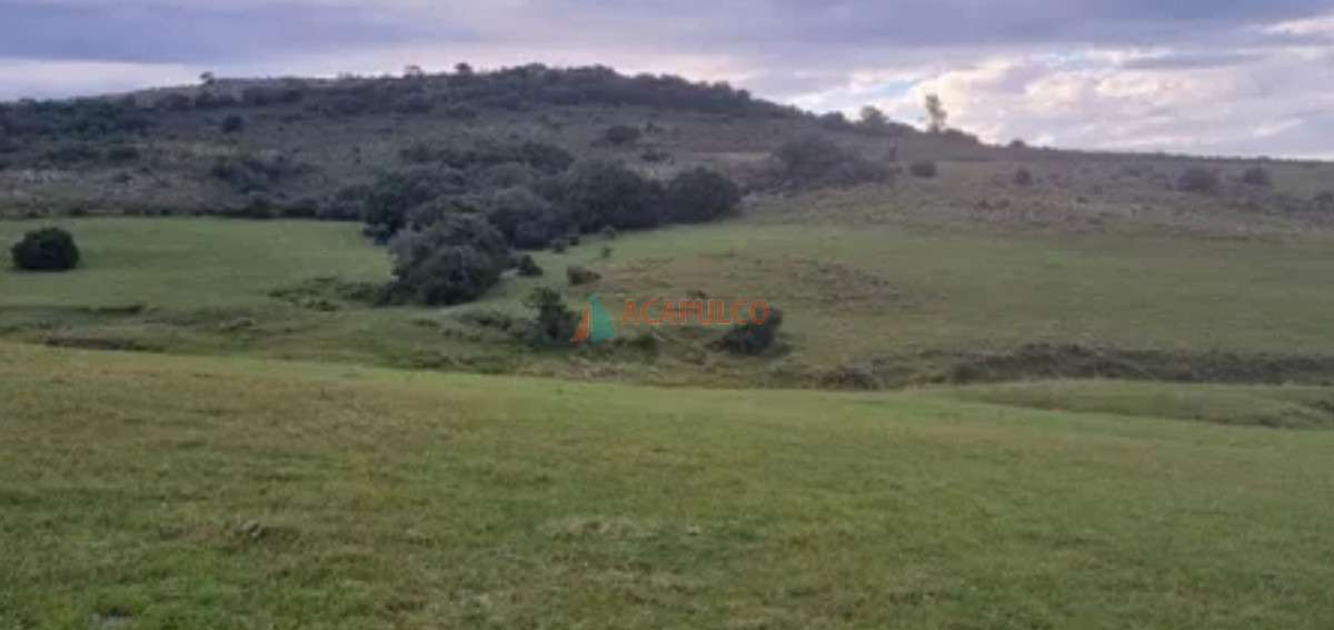 Chacra Ref.4503 - CHACRA A LA VENTA 7.5 Hás  Pueblo Eden