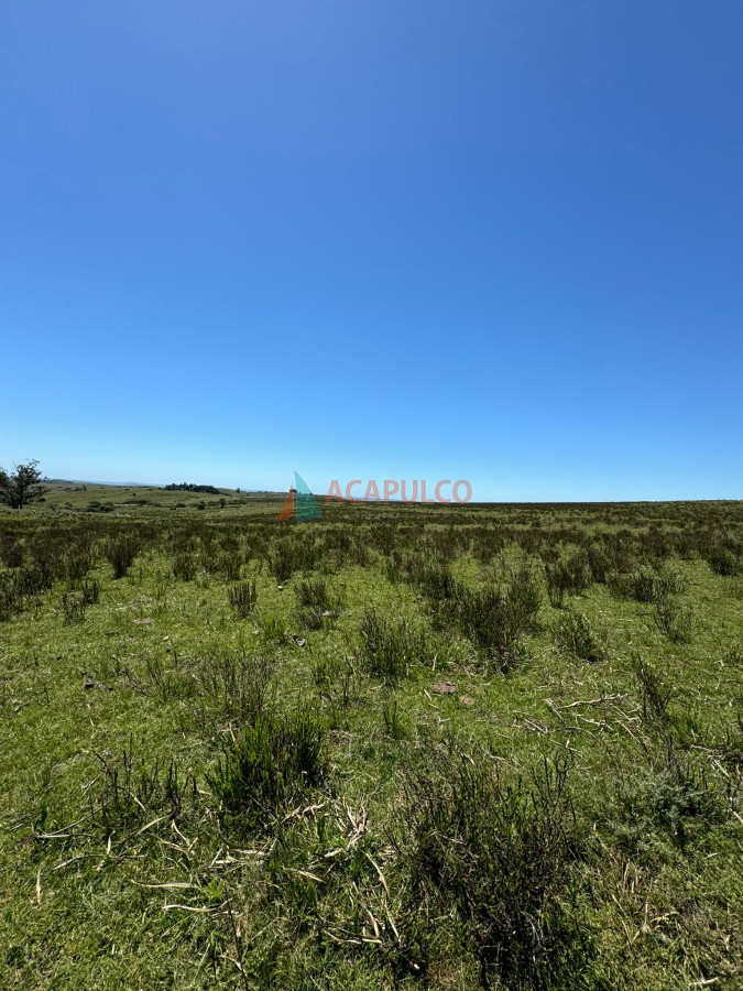 Increíble campo con fines varios - ACP4633P