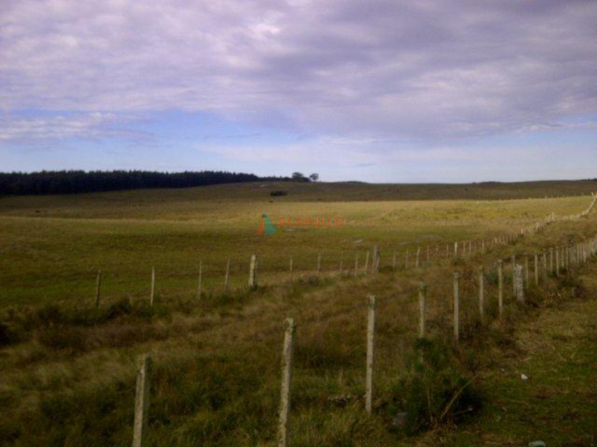 Campo Ref.3573 - VENTA CAMPO EN ROCHA - CASTILLOS - IMPERDIBLE OPORTUNIDAD!! -