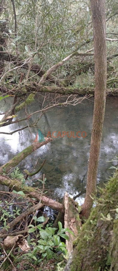 Campo Ref.6294 - CAMPO EN ROCHA, SIERRAS DE LA COSTA