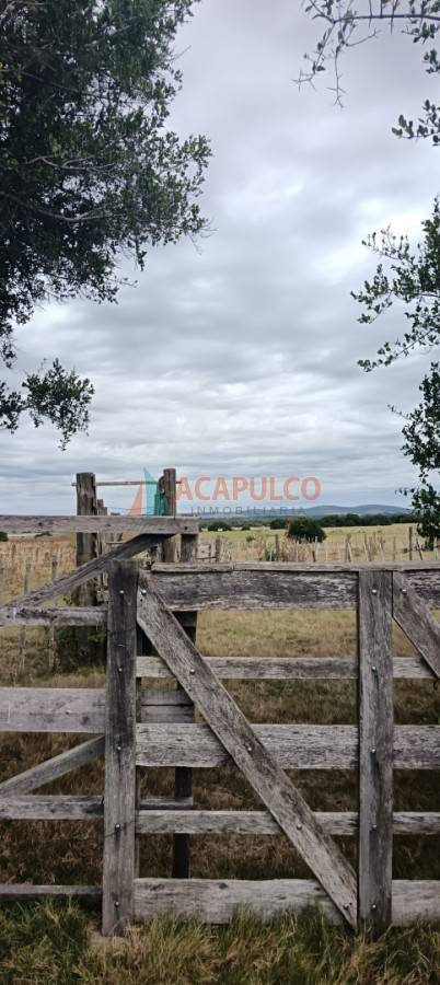 Campo Ref.6371 - CAMPO TODO USO