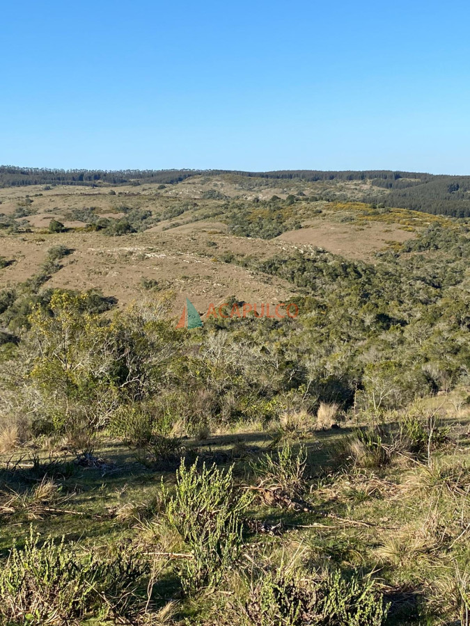 Campo Ref.6294 - CAMPO EN ROCHA, SIERRAS DE LA COSTA