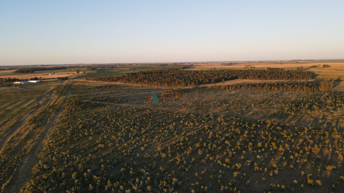 Campo Ref.4736 - Venta de Chacra - Campo en Florida 
