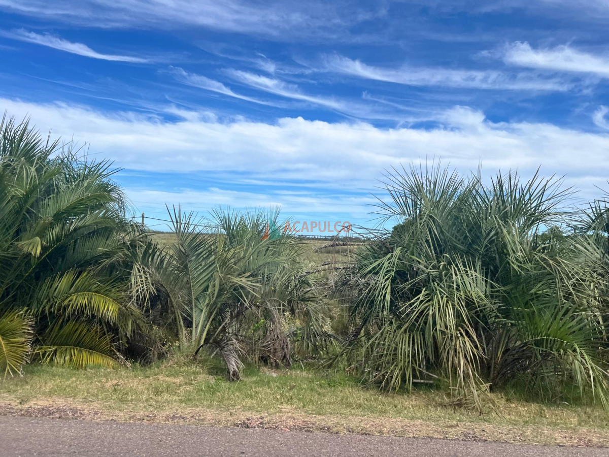 Campo Ref.3573 - VENTA CAMPO EN ROCHA - CASTILLOS - IMPERDIBLE OPORTUNIDAD!! -