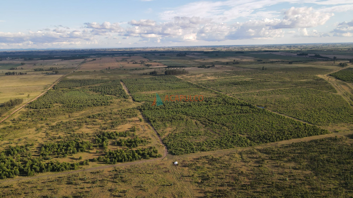 Campo Ref.4736 - Venta de Chacra - Campo en Florida 