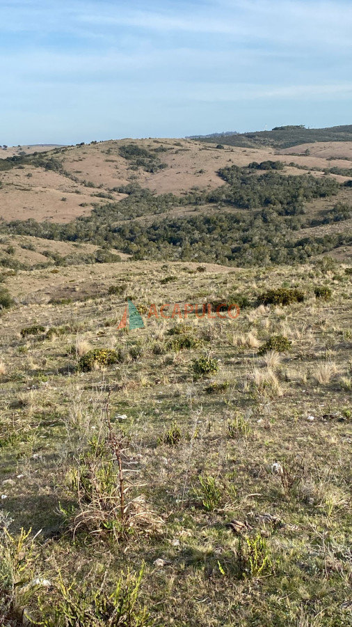 Campo Ref.6294 - CAMPO EN ROCHA, SIERRAS DE LA COSTA