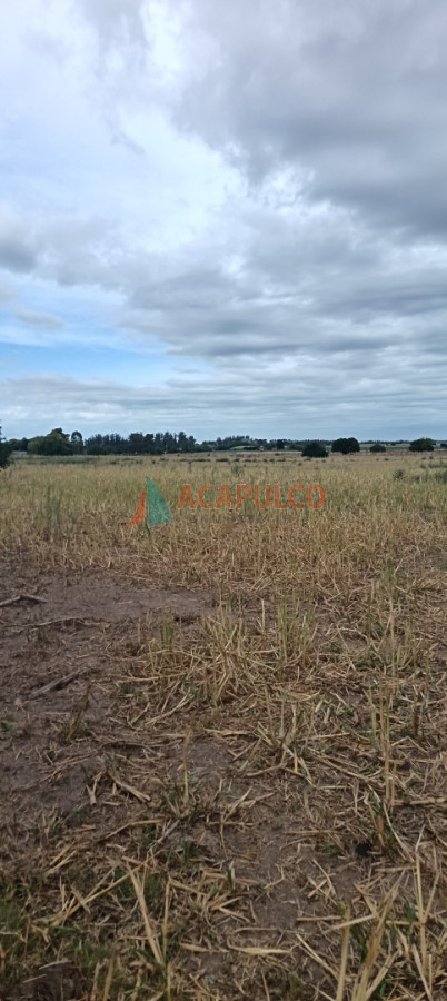 Campo Ref.6371 - CAMPO TODO USO