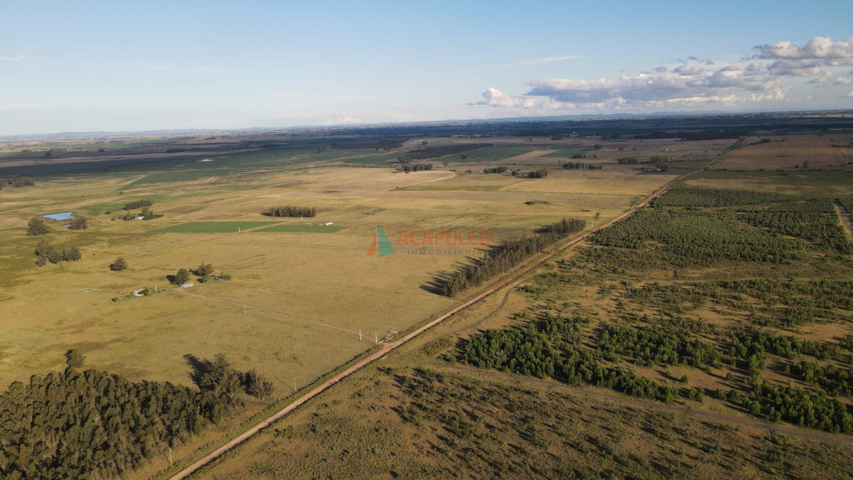 Campo Ref.4736 - Venta de Chacra - Campo en Florida 