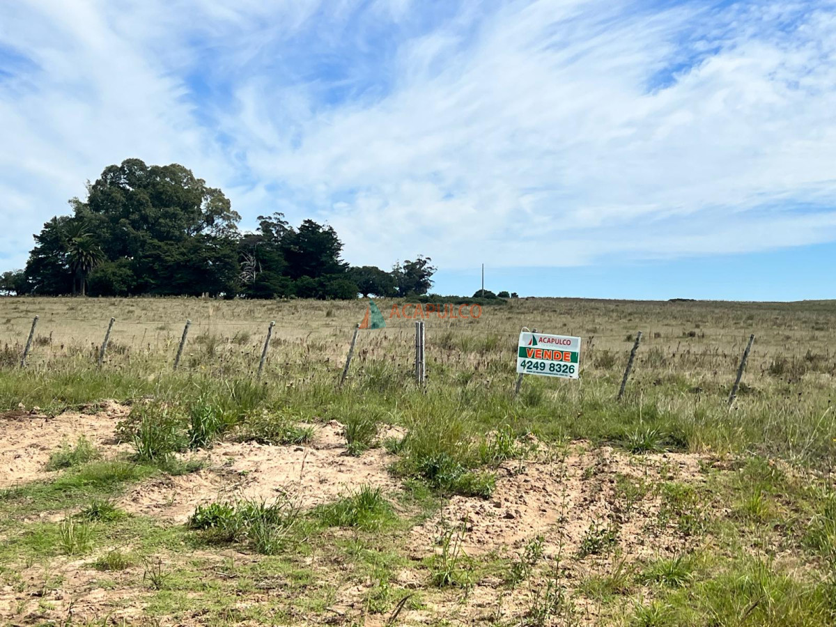 Campo Ref.4373 - CAMPO A LA VENTA RUTA 9 124 Há