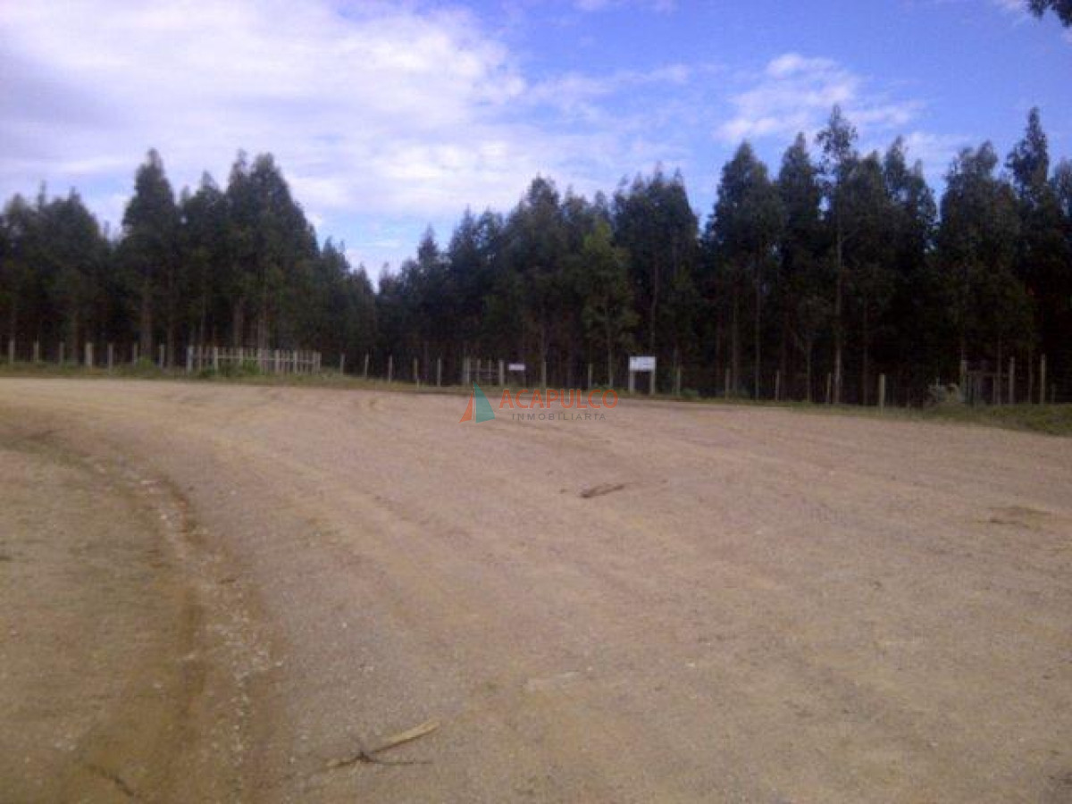 Campo Ref.3573 - VENTA CAMPO EN ROCHA - CASTILLOS - IMPERDIBLE OPORTUNIDAD!! -