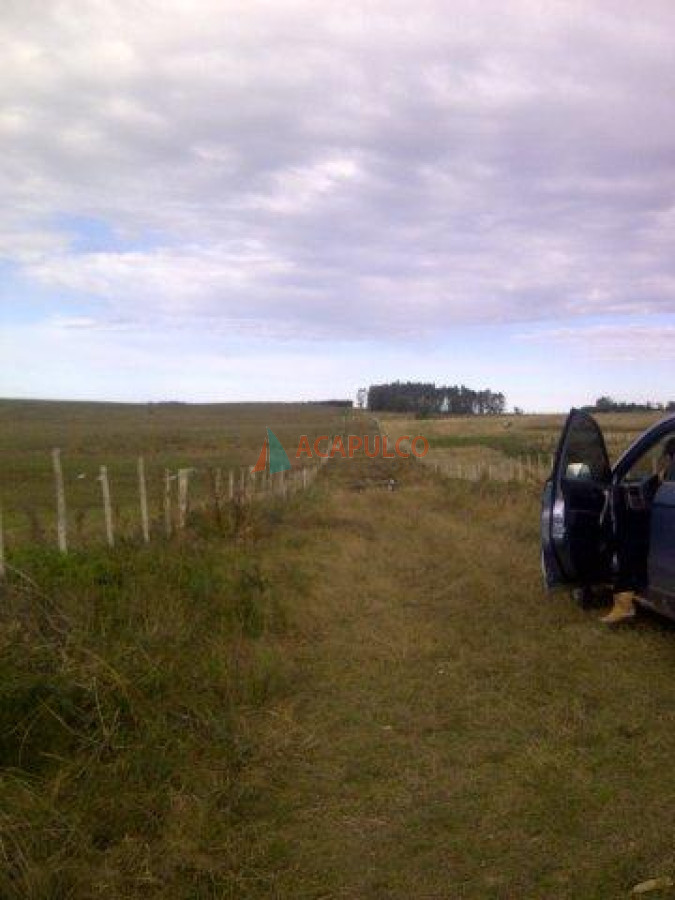 Campo Ref.3573 - VENTA CAMPO EN ROCHA - CASTILLOS - IMPERDIBLE OPORTUNIDAD!! -