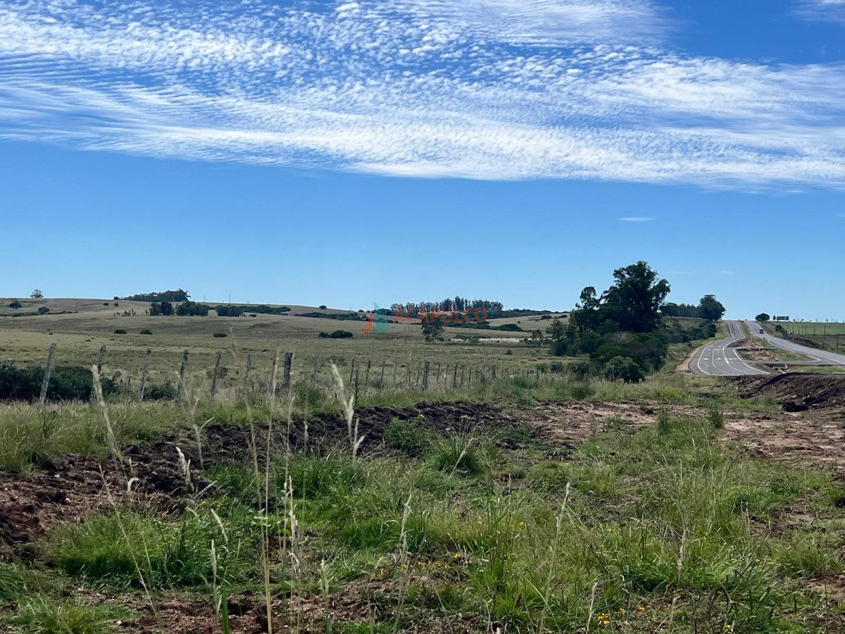 Campo Ref.4373 - CAMPO A LA VENTA RUTA 9 124 Há