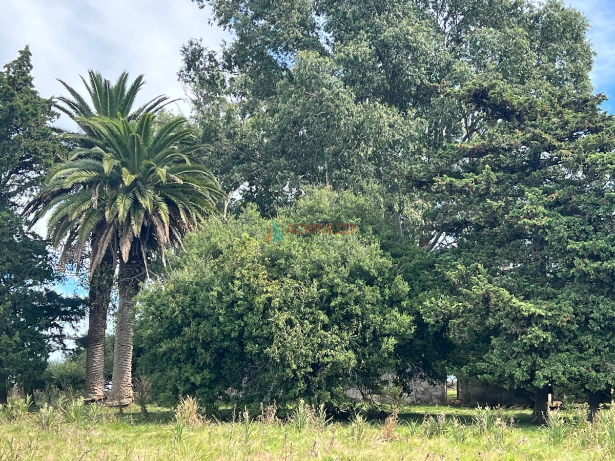 Campo Ref.4373 - CAMPO A LA VENTA RUTA 9 124 Há
