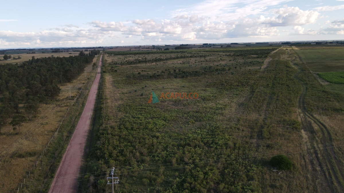 Campo Ref.4736 - Venta de Chacra - Campo en Florida 