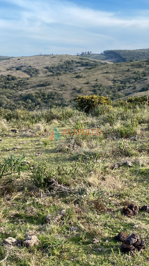 Campo Ref.6294 - CAMPO EN ROCHA, SIERRAS DE LA COSTA